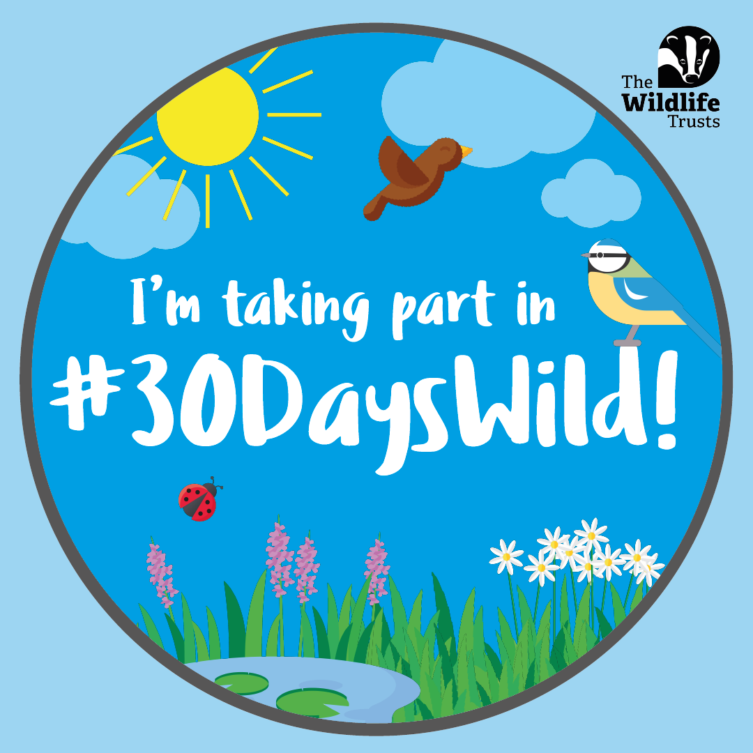 Thank you for signing up for 30 Days Wild - Schools | The Wildlife Trusts